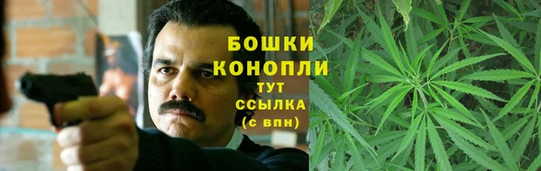 амф Арсеньев