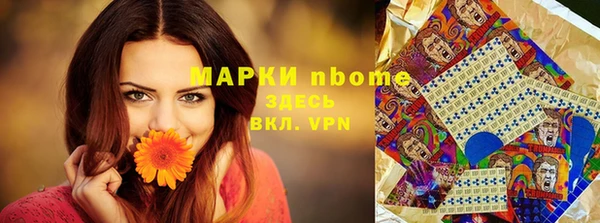 a pvp Аркадак