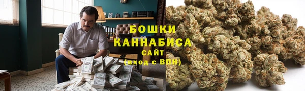 амф Арсеньев