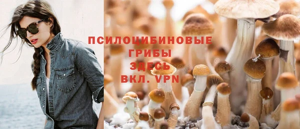 спиды Армянск