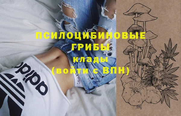 a pvp Аркадак