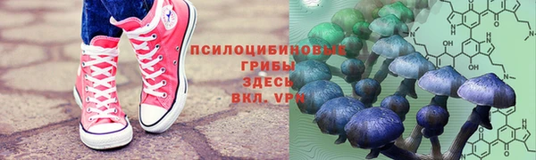 амф Арсеньев