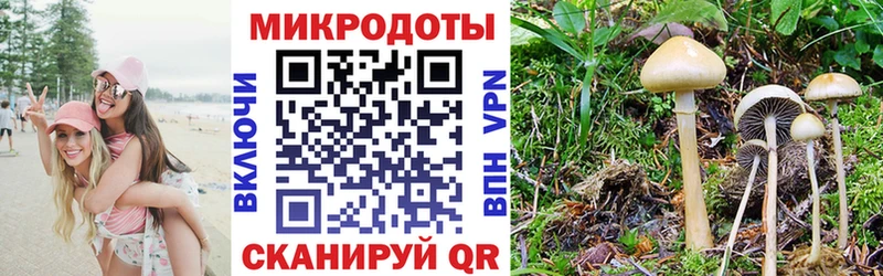 Галлюциногенные грибы Magic Shrooms  купить закладку  Саянск 