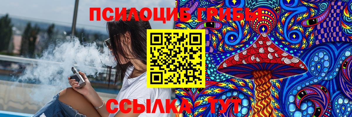 Саянск  дарнет шоп  Вход с VPN  Псилоцибиновые грибы мухоморы 