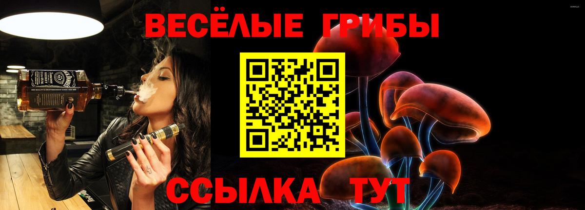 Псилоцибиновые грибы Psilocybine cubensis Саянск