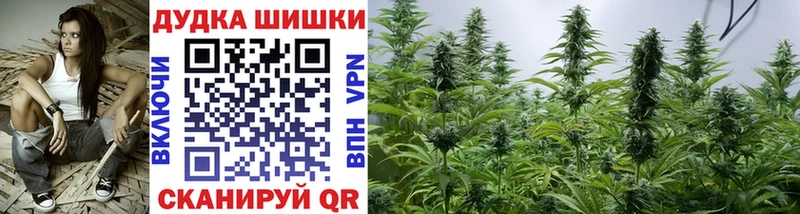 Бошки Шишки индика Саянск